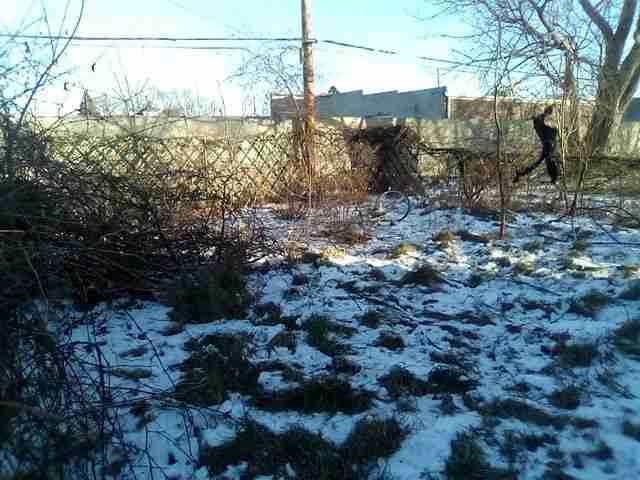 37039887_1641566008335 (1).jpg